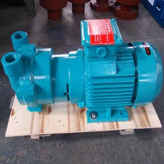 2BV-2bvc Liquid Ring Vacuum Pump with Compressor Motor Vacuum Filtration Pump in China